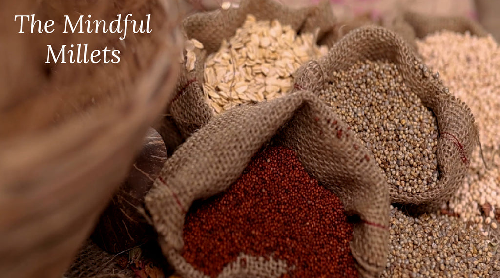 What Is Millets? Different Type of Millets With Benefits & Nutrition